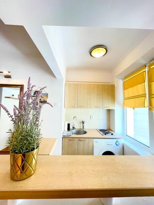 Boutique Apartment In The Bucharest City Center Bagian luar foto